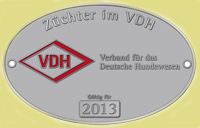 VDH2013